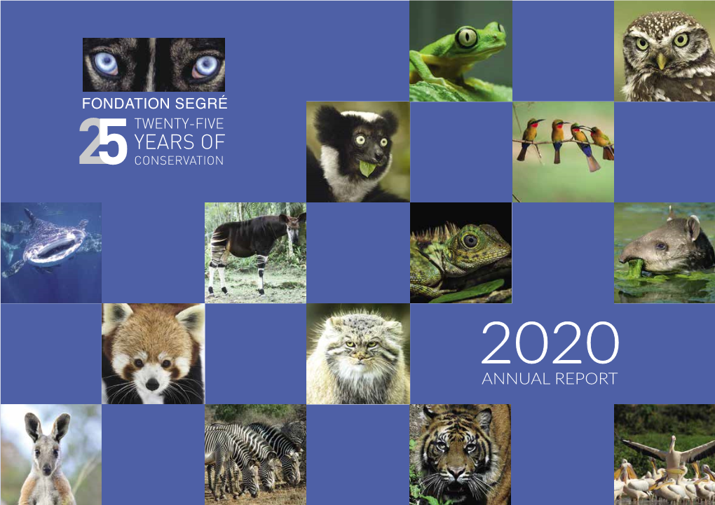 Annual Report 2020