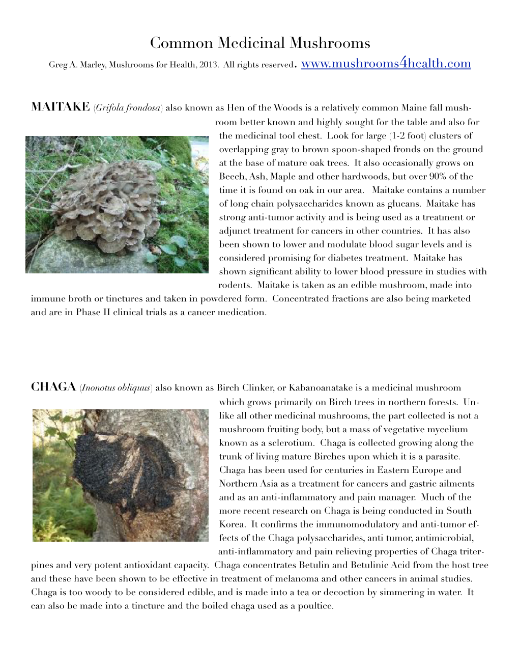 Common Medicinal Mushrooms-Handout