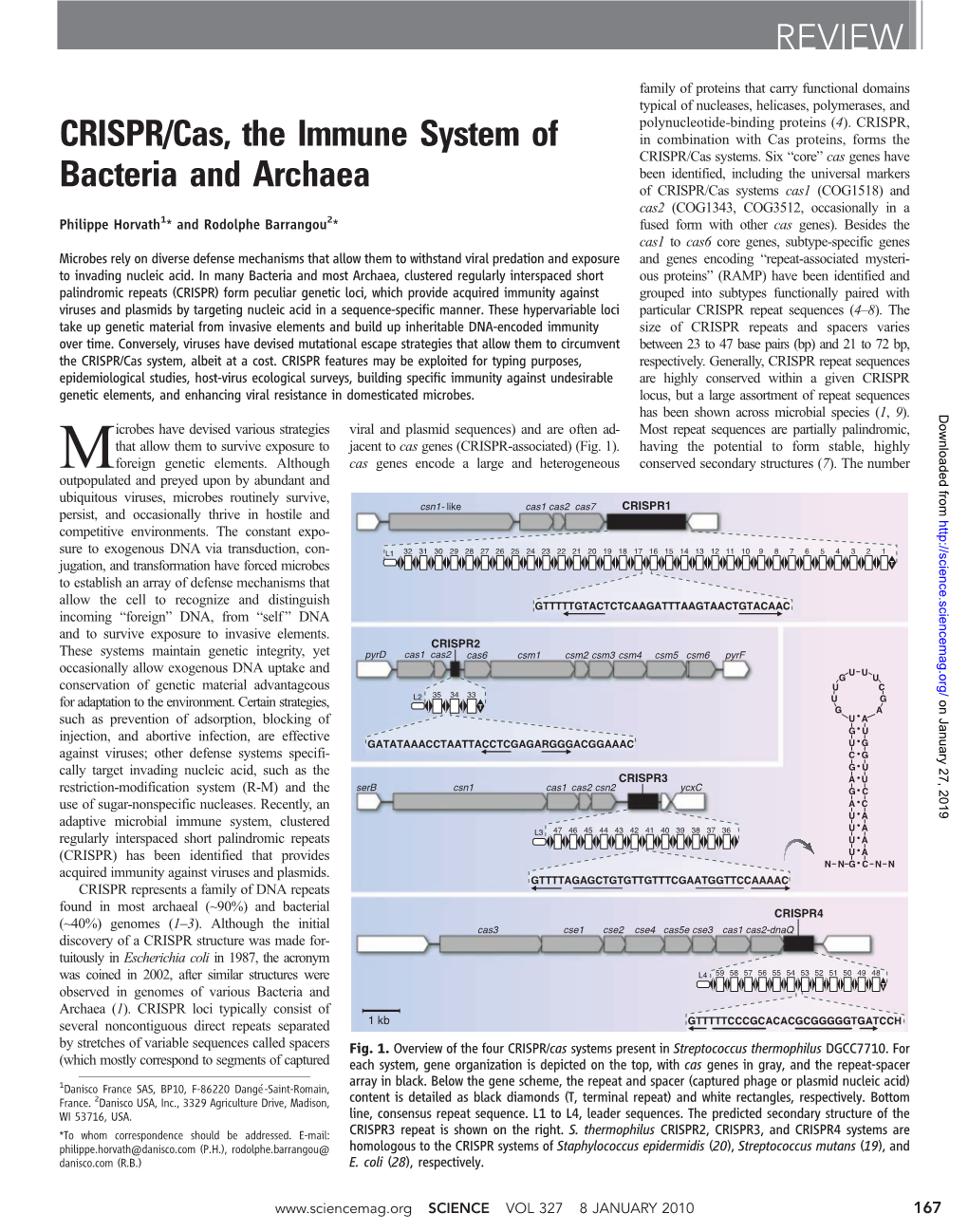 CRISPR/Cas, the Immune System of Bacteria and Archaea REVIEW