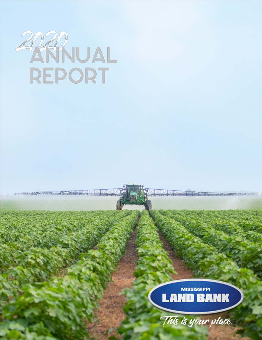 2020 Annual Report