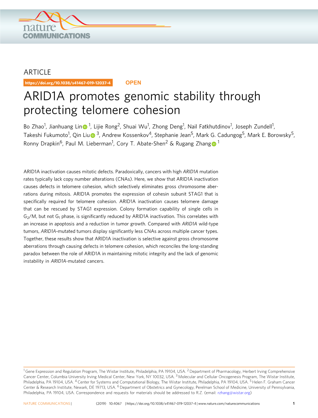 ARID1A Promotes Genomic Stability Through Protecting Telomere Cohesion