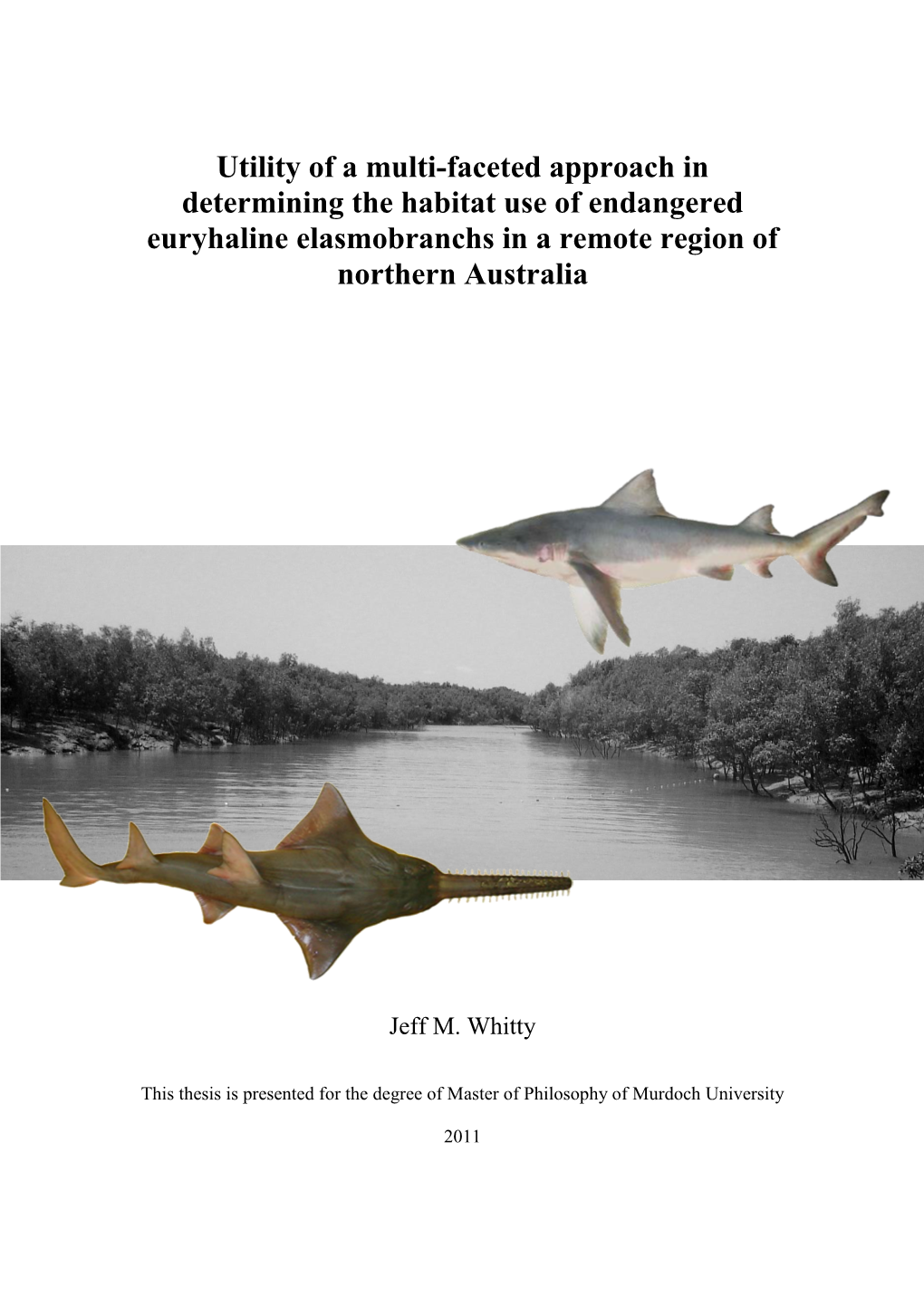 Habitat Use of the Freshwater Sawfish (Pristis Microdon) and Northern River