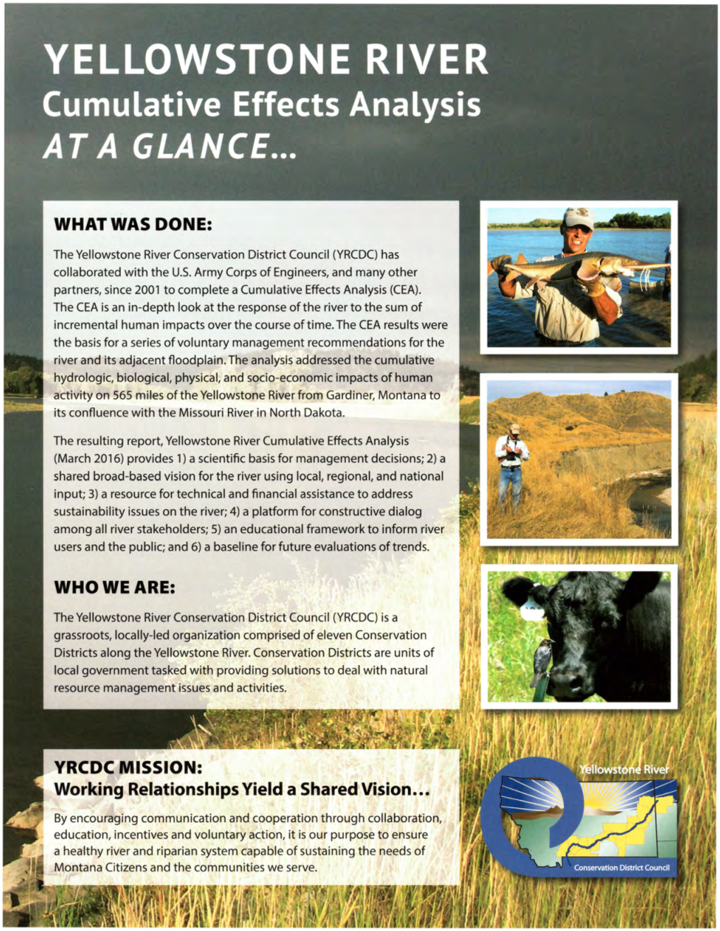 YELLOWSTONE RIVER Cumulative Effects Analysis at a GLANCE