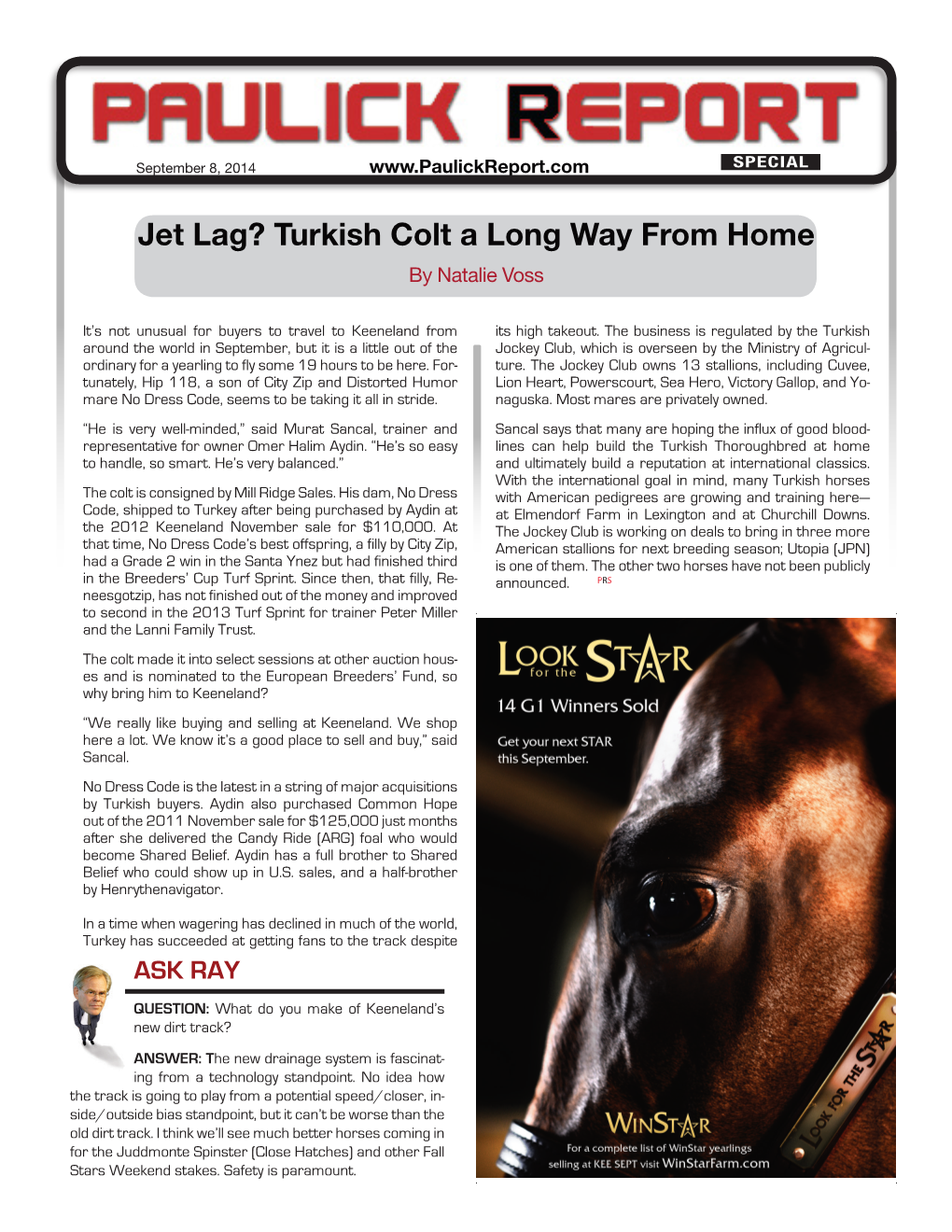 Jet Lag? Turkish Colt a Long Way from Home by Natalie Voss