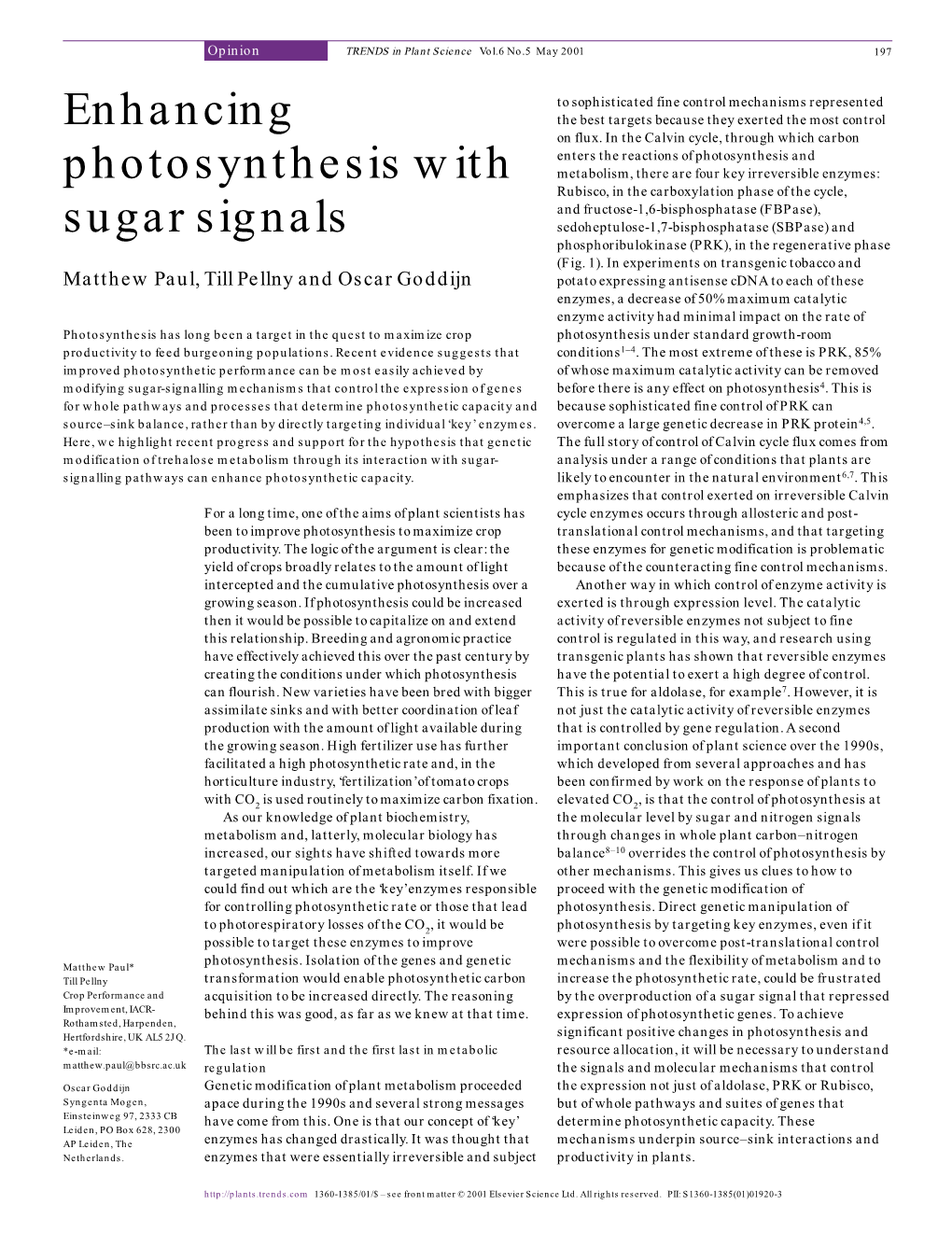 Enhancing Photosynthesis with Sugar Signals