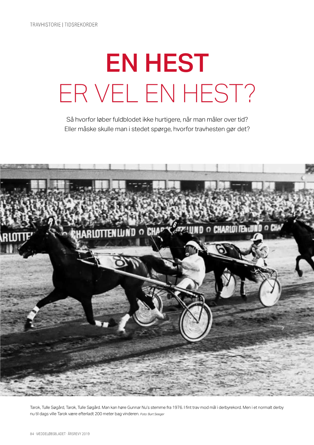 En Hest Er Vel En Hest?