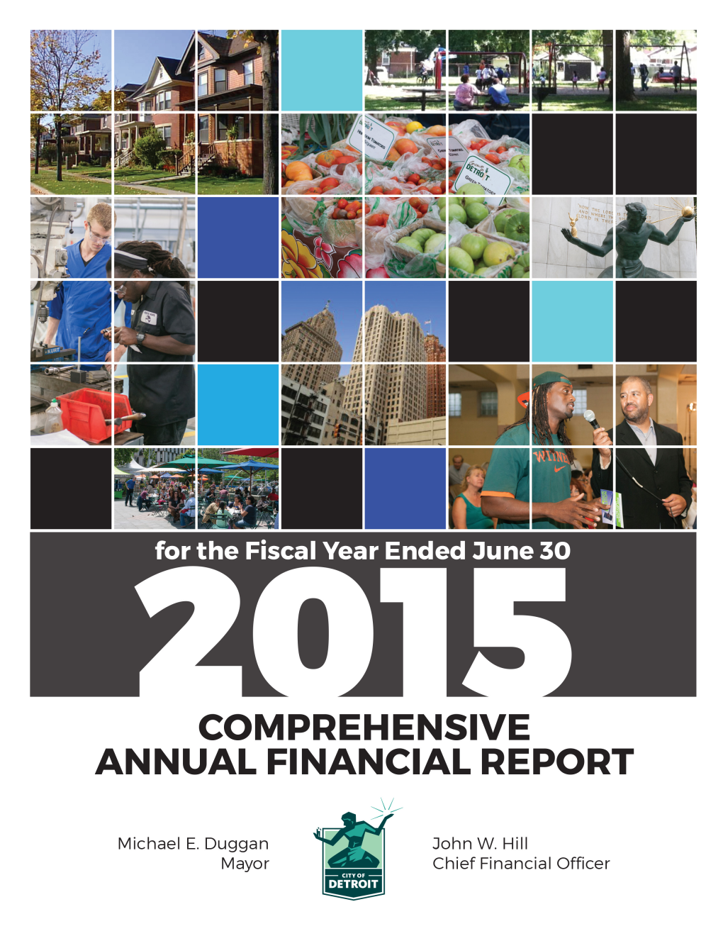 FY 2015 Comprehensive Annual Financial Report