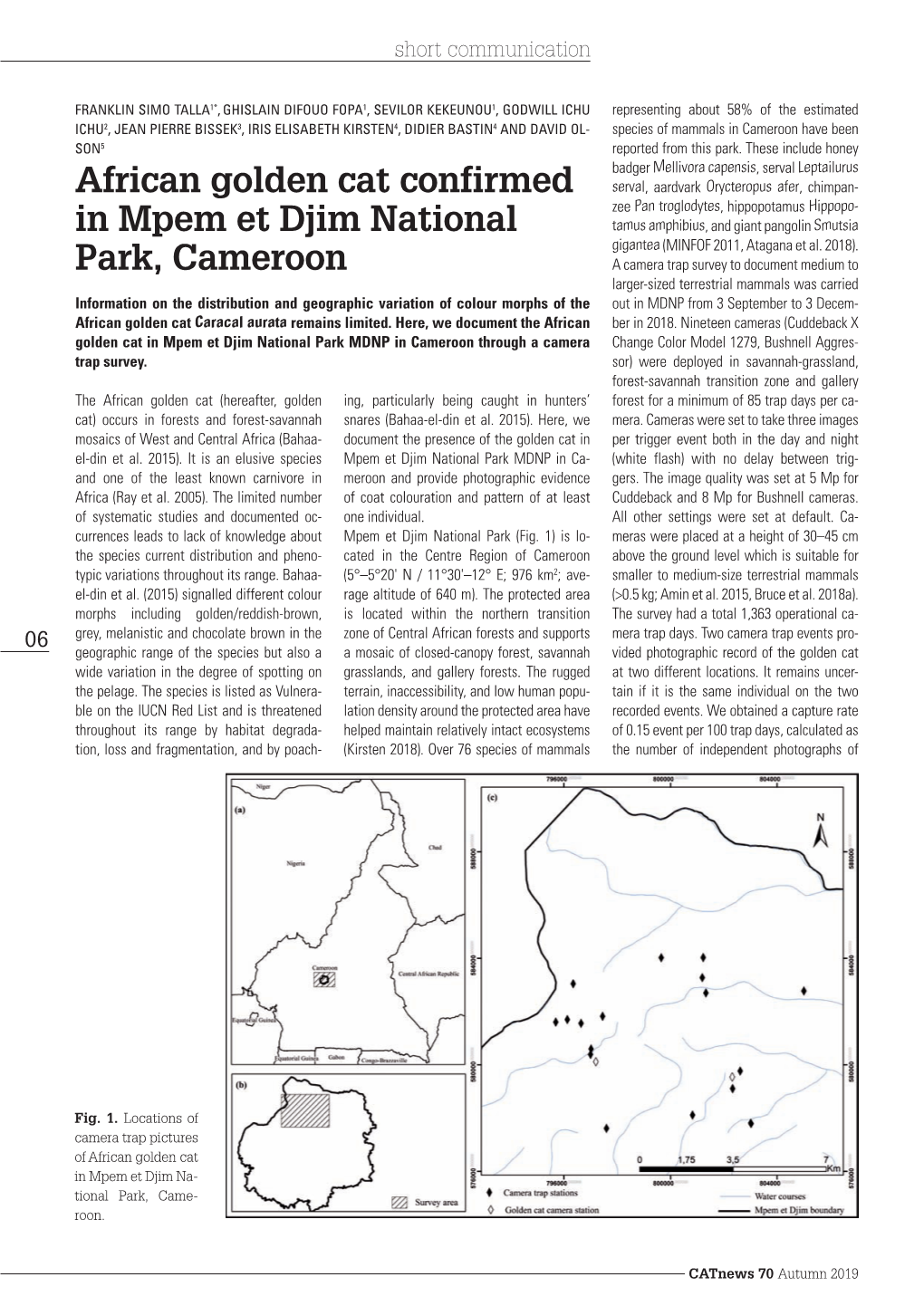 African Golden Cat Confirmed in Mpem Et Djim National Park, Cameroon