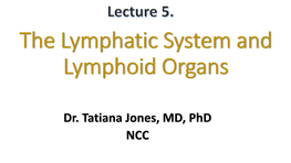 The Lymphatic System and Lymphoid Organs