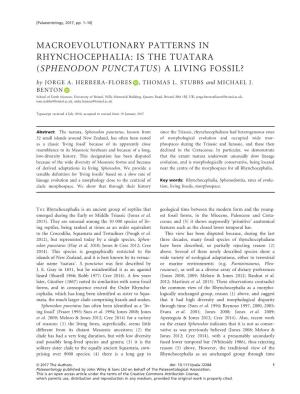 IS the TUATARA (SPHENODON PUNCTATUS) a LIVING FOSSIL? by JORGEA.HERRERA-FLORES , THOMAS L