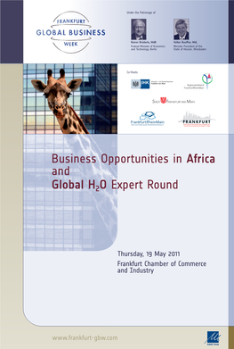 Business Opportunities in Africa and Global H2 O Expert Round