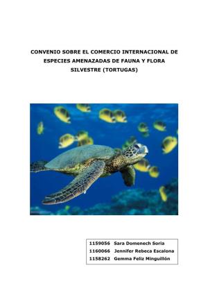 Convenio Sobre El Comercio Internacional De Especies Amenazadas De Fauna Y Flora Silvestre (Tortugas)