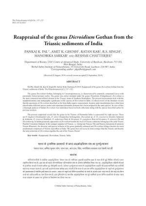 Reappraisal of the Genus Dicroidium Gothan from the Triassic Sediments of India
