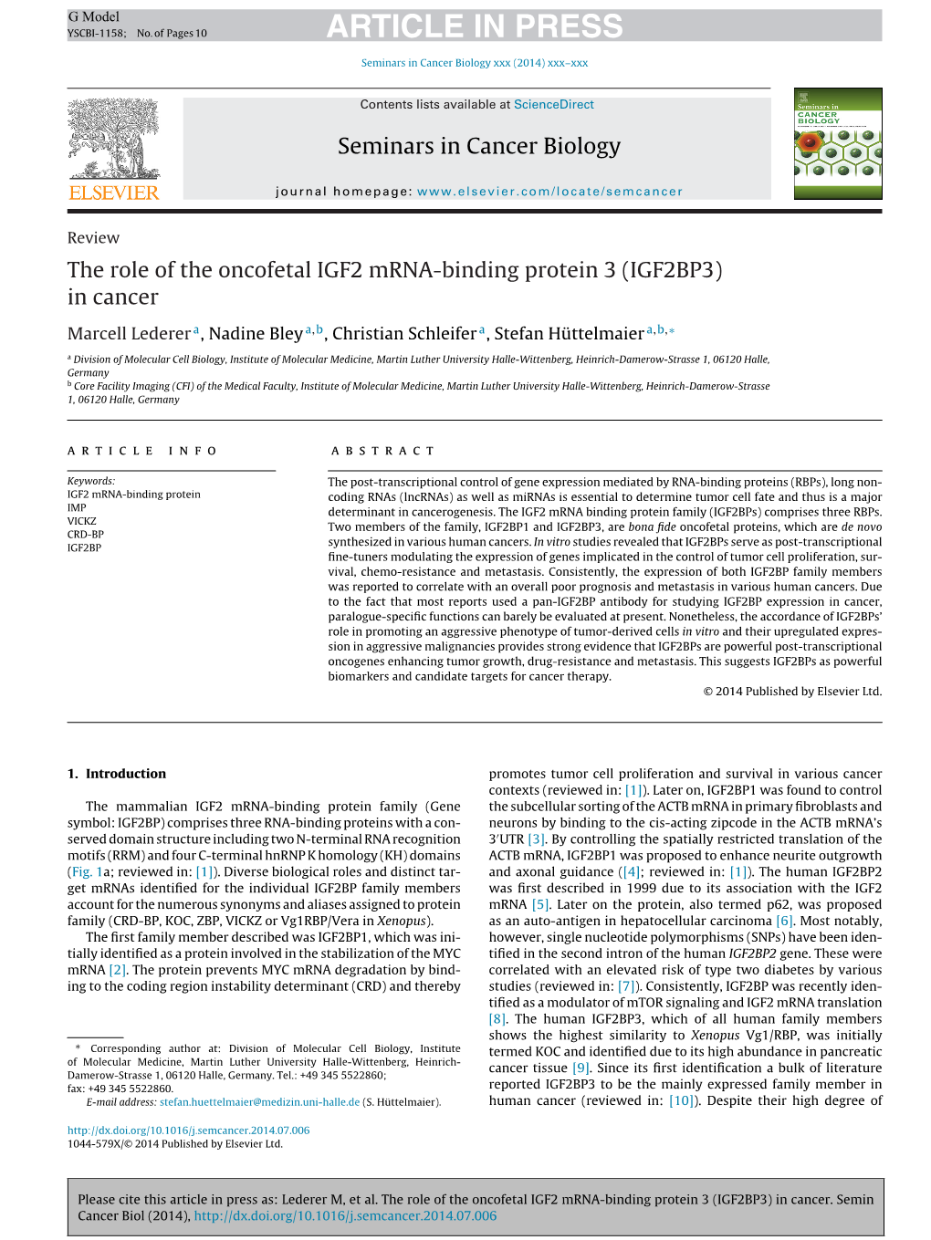 The Role of the Oncofetal IGF2 Mrna-Binding Protein 3 (IGF2BP3)