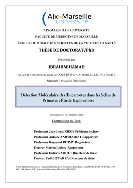 THÈSE DE DOCTORAT/Phd IBRAHIM HAMAD