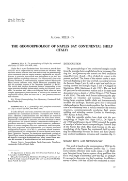 The Geomorphology of Naples Bay Continental Shelf (Italy)