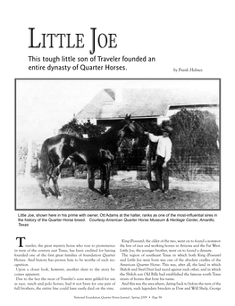 Little Joe This Tough Little Son of Traveler Founded an Entire Dynasty of Quarter Horses