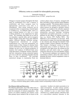 Olfactory Cortex As a Model for Telencephalic Processing