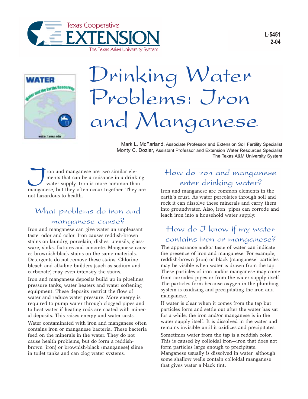 Drinking Water Problems: Iron and Manganese