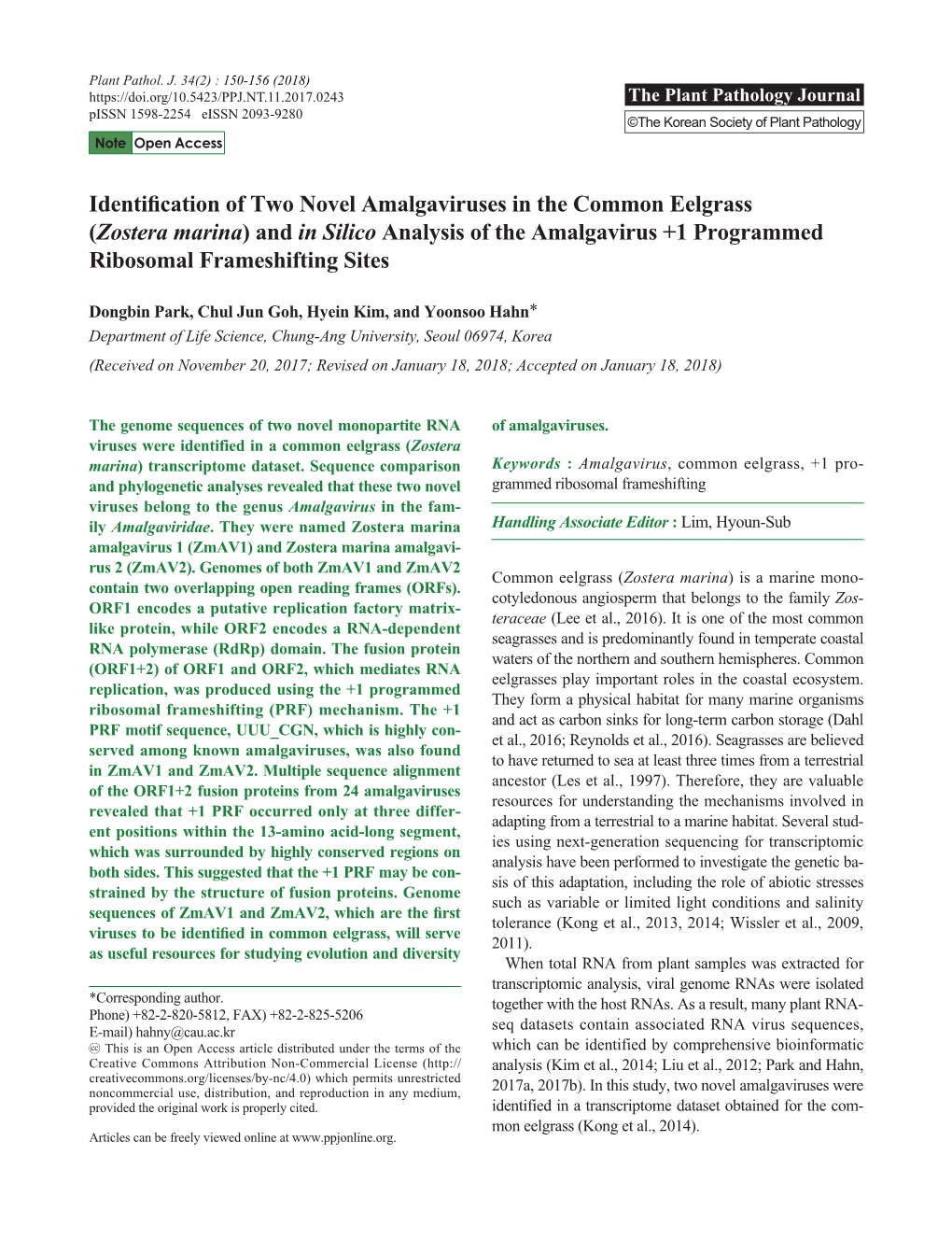 Identification of Two Novel Amalgaviruses in the Common