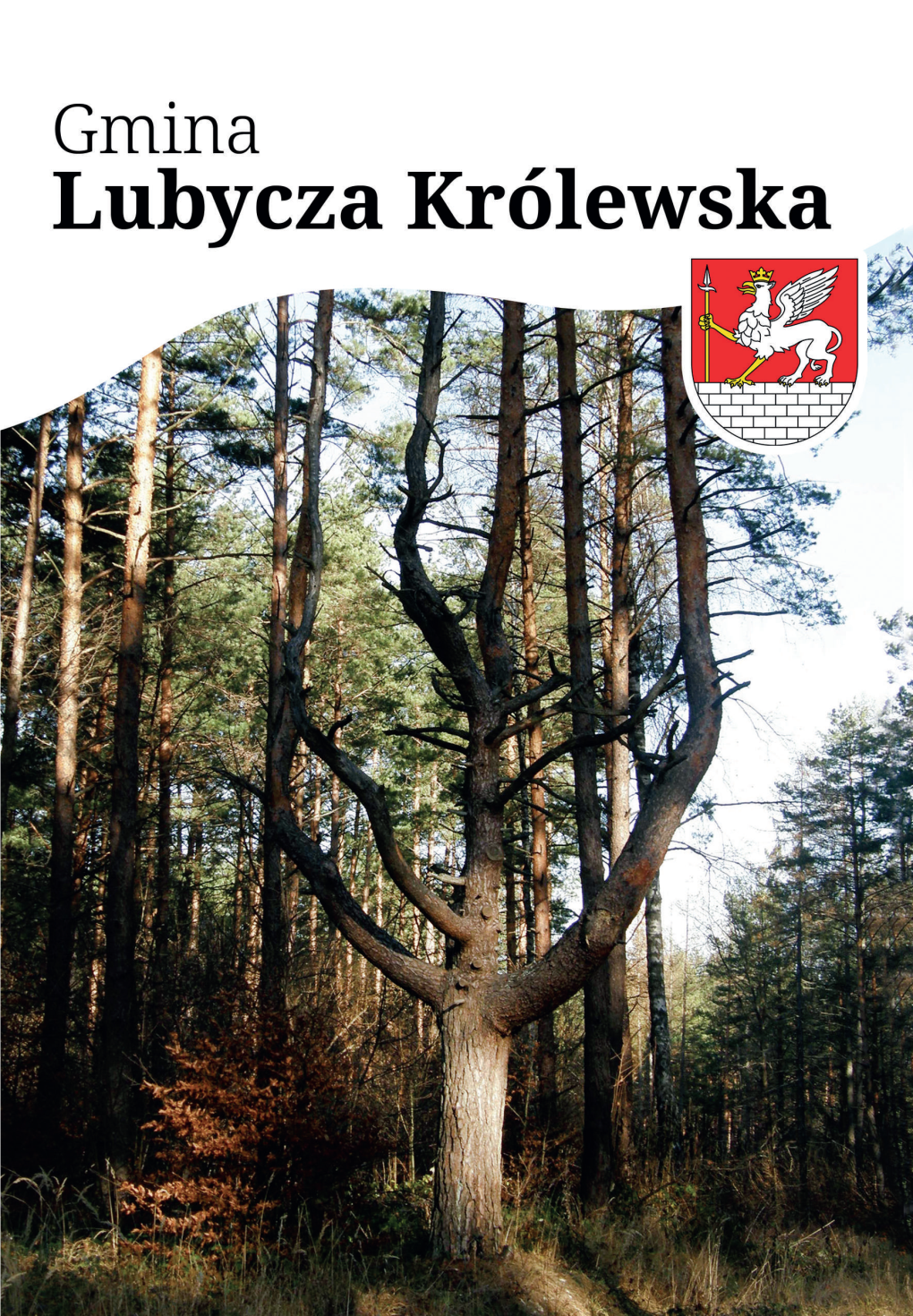 Gmina Lubycza Królewska