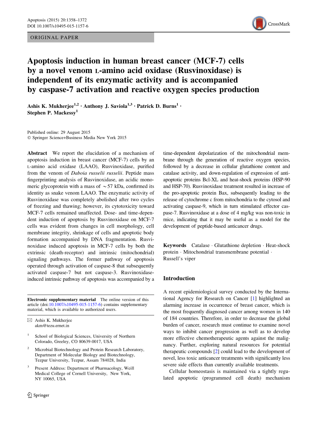 Apoptosis Induction in Human Breast Cancer (MCF-7) Cells by a Novel Venom L-Amino Acid Oxidase (Rusvinoxidase) Is Independent Of