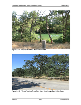 Figure 3.9-6 View of Mature Trees from Mace Road Bridge Over Putah Creek