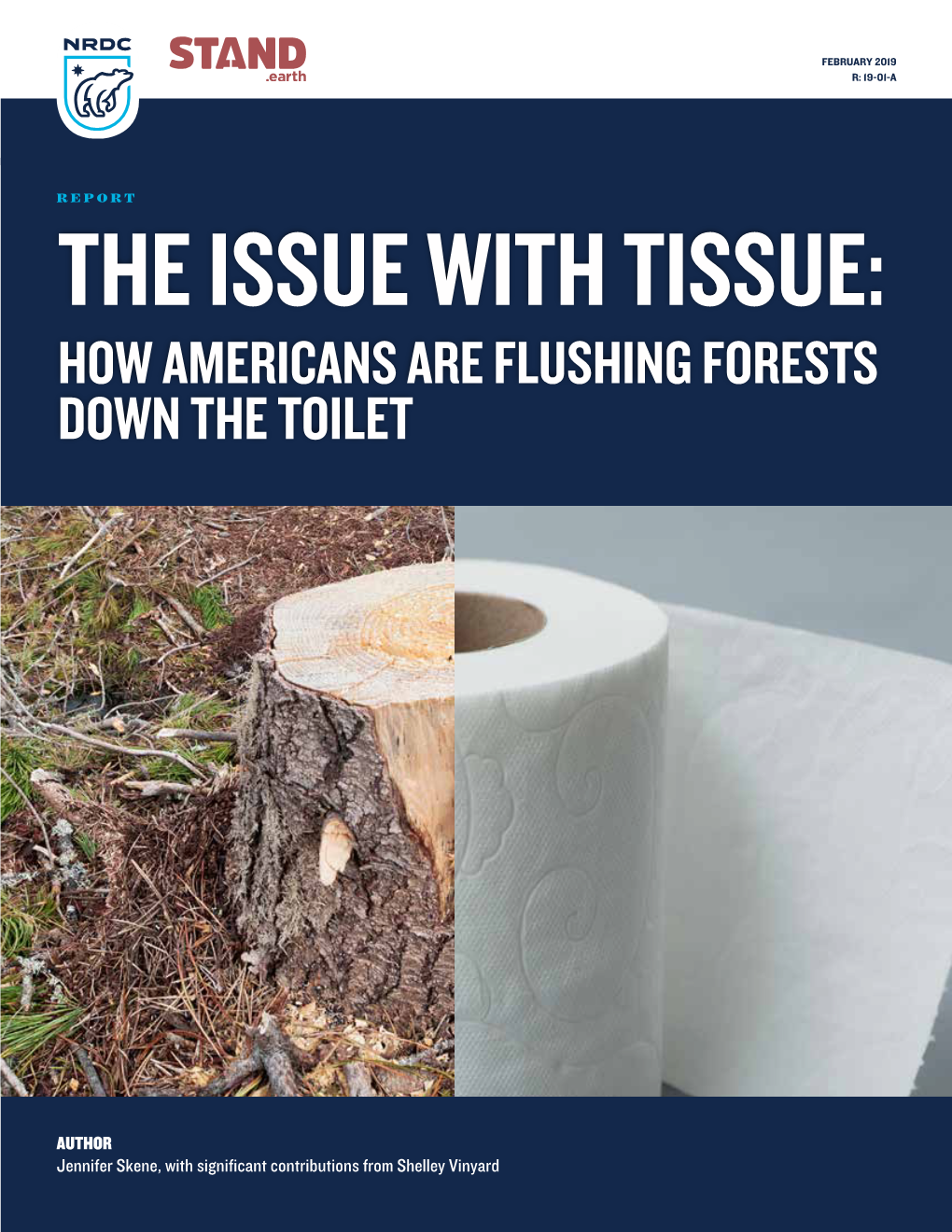 The Issue with Tissue: How Americans Are Flushing Forests Down the Toilet