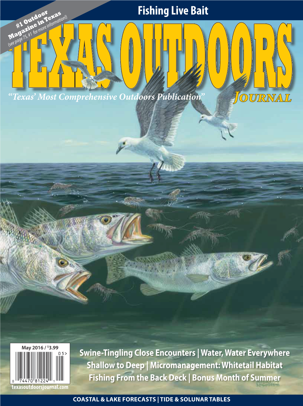 Hunting and Fishing Through Operation the National Wild Turkey Federation Honors Texas Game Warden Ellis Powell As the Officer of Outdoor Events Held Every Year