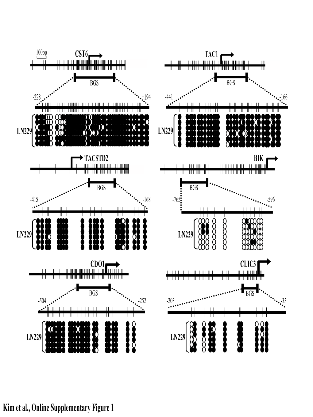 Kim Et Al., Online Supplementary Figure 1 100Bp TSPYL5