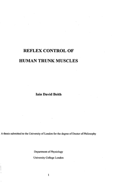 Reflex Control of Human Trunk Muscles