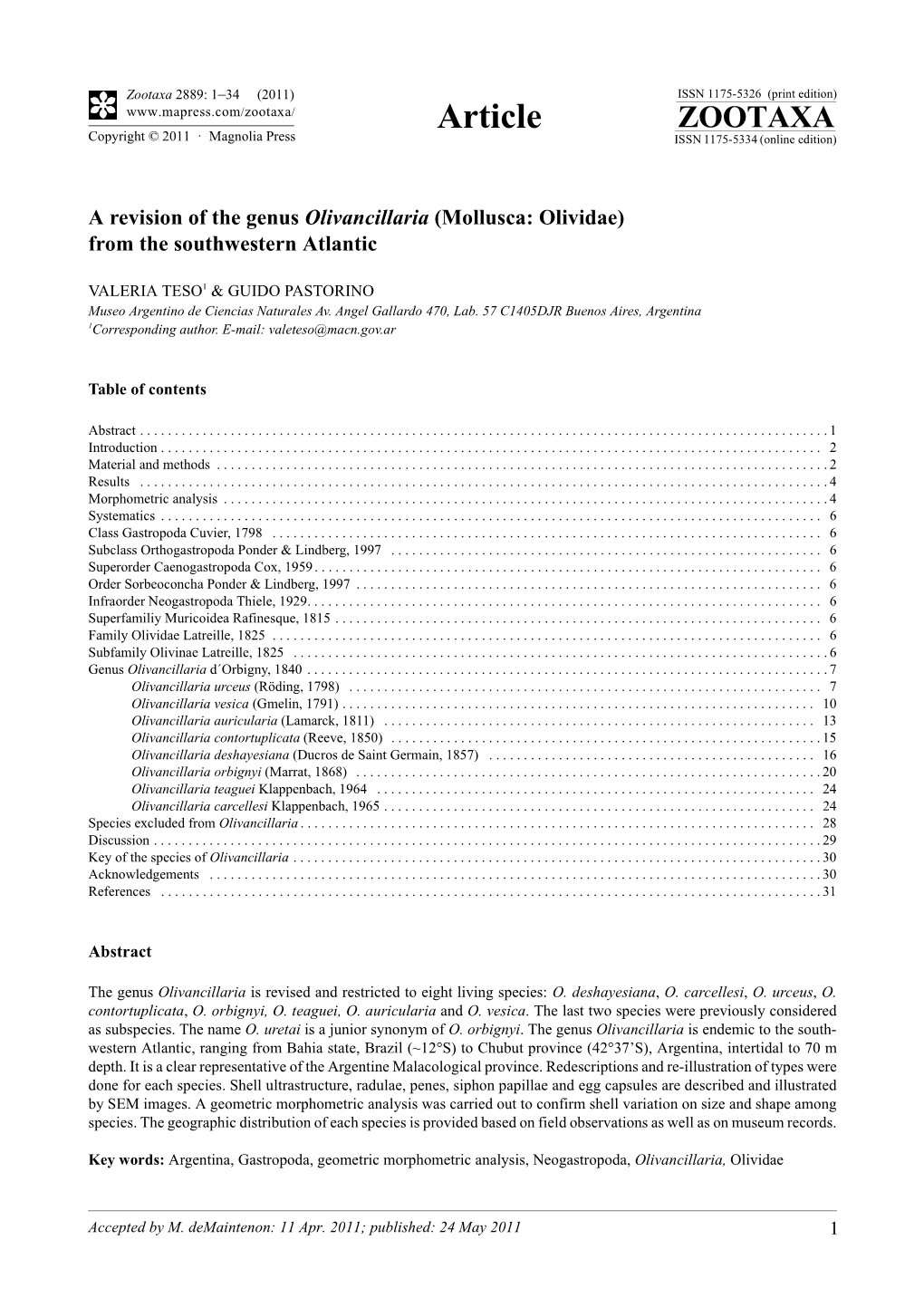 A Revision of the Genus Olivancillaria (Mollusca: Olividae) from the Southwestern Atlantic