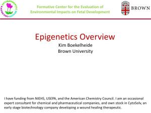 Epigenetics Overview Kim Boekelheide Brown University