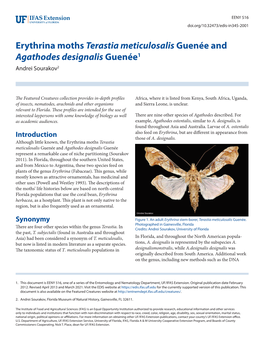 Erythrina Moths Terastia Meticulosalis Guenée and Agathodes Designalis Guenée1 Andrei Sourakov2