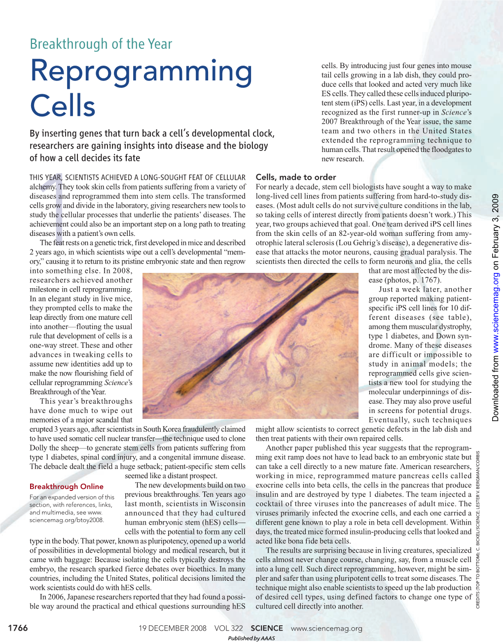 Reprogramming Cells