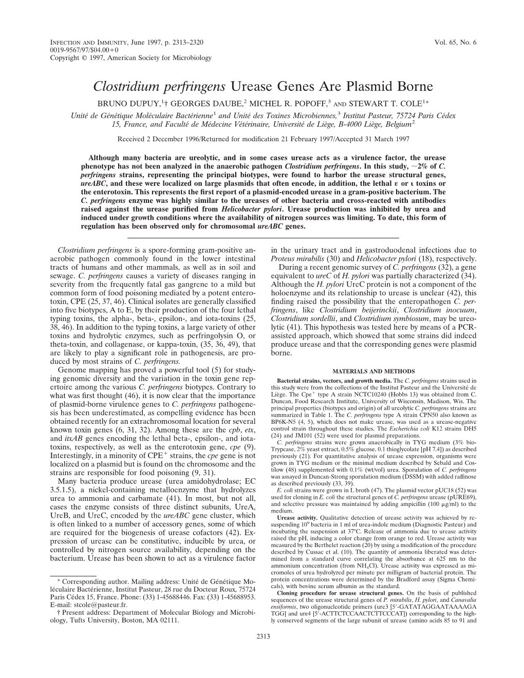 Clostridium Perfringens Urease Genes Are Plasmid Borne
