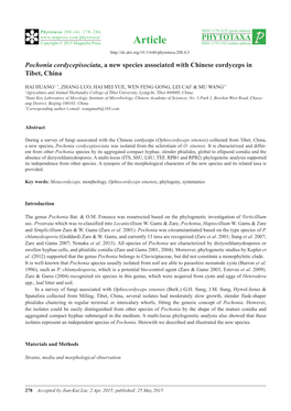 Pochonia Cordycepisociata, a New Species Associated with Chinese Cordyceps in Tibet, China