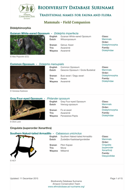 Mammals - Field Companion Didelphimorphia