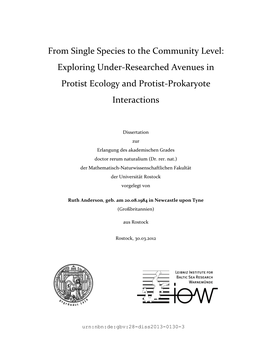 From Single Species to the Community Level: Exploring Under‐Researched Avenues in Protist Ecology and Protist‐Prokaryote Interactions