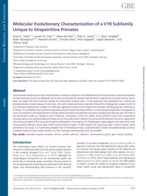Molecular Evolutionary Characterization of a V1R Subfamily Unique to Strepsirrhine Primates