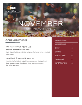 November 2020 Newsletter