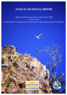 Saba 2009 Report