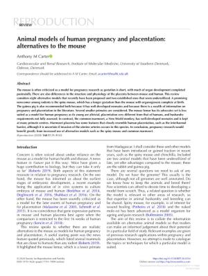 Animal Models of Human Pregnancy and Placentation: Alternatives to the Mouse