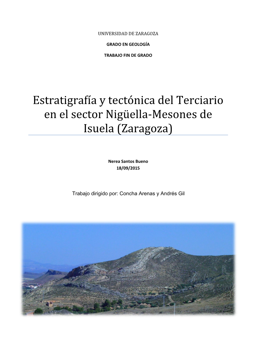 Estratigrafía Y Tectónica Del Terciario En El Sector Nigüella-Mesones De Isuela (Zaragoza)