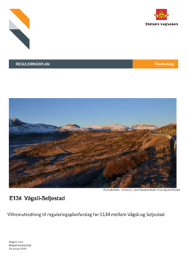 Villreinutredning Til Reguleringsplanforslag for E134 Mellom Vågsli Og Seljestad