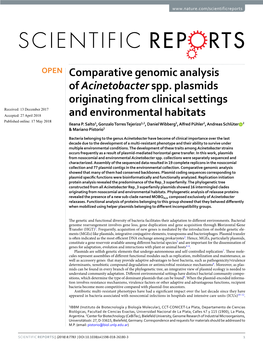 Comparative Genomic Analysis of Acinetobacter Spp. Plasmids