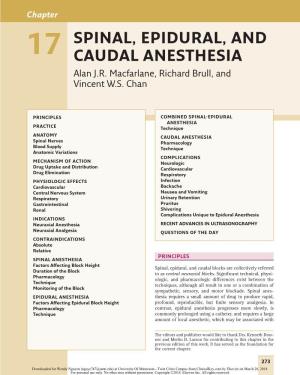 Chapter 17 Spinal, Epidural, and Caudal Anesthesia