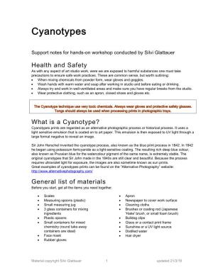 Cyanotype Notes Silvi Glattauer