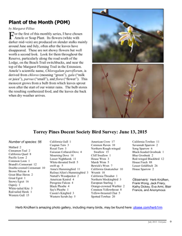 Plant of the Month (POM) Torrey Pines Docent Society Bird Survey: June