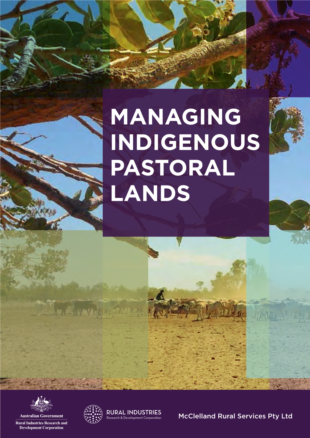 Managing Indigenous Pastoral Lands